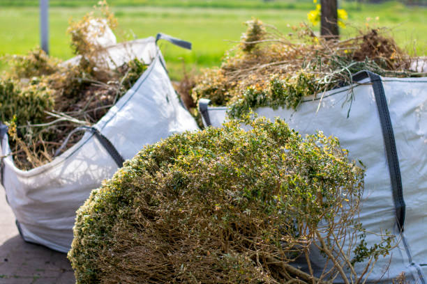 Best Commercial Cleanout Services  in Elizabeth, CO